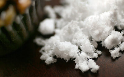 Dangers of too much Xylitol in Processed Foods
