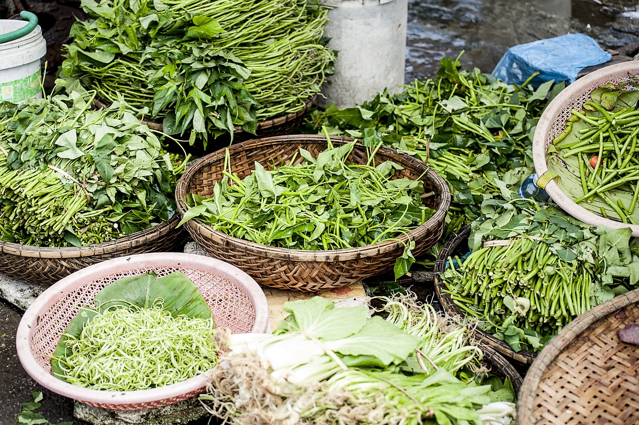 Leafy green vegetables for Regenerating Stem-Cells