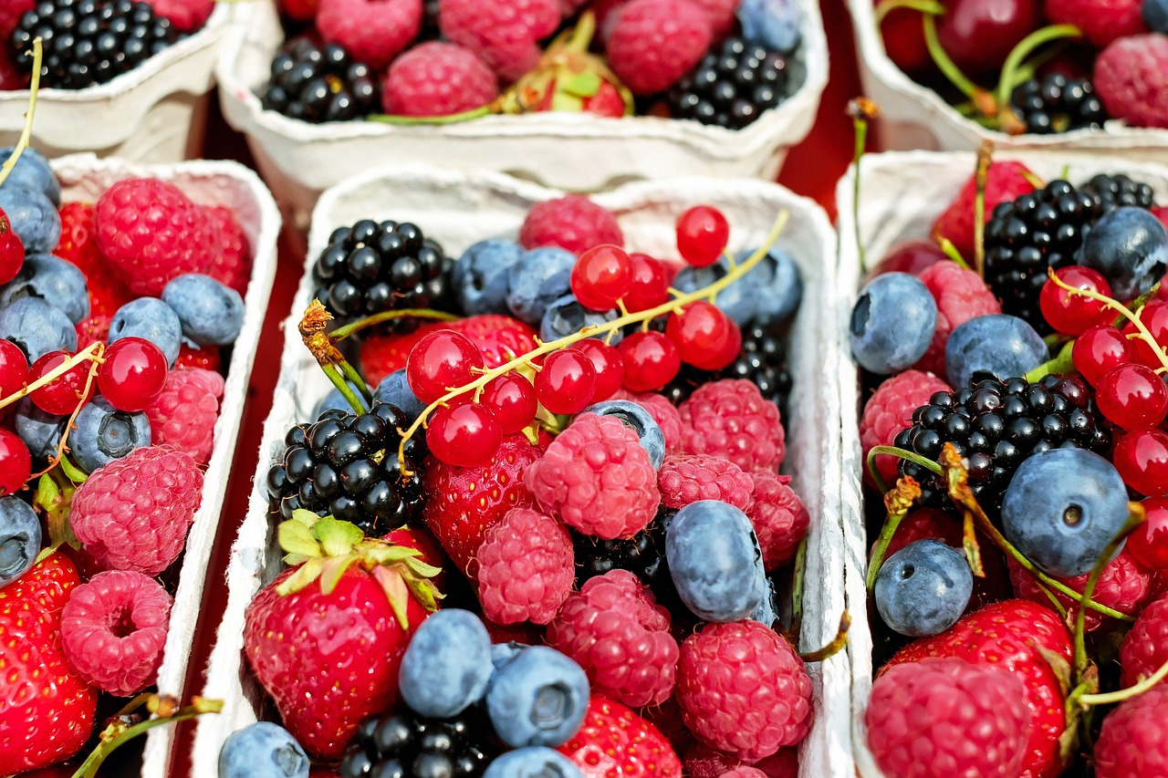 Berries for Regenerating Stem-Cells